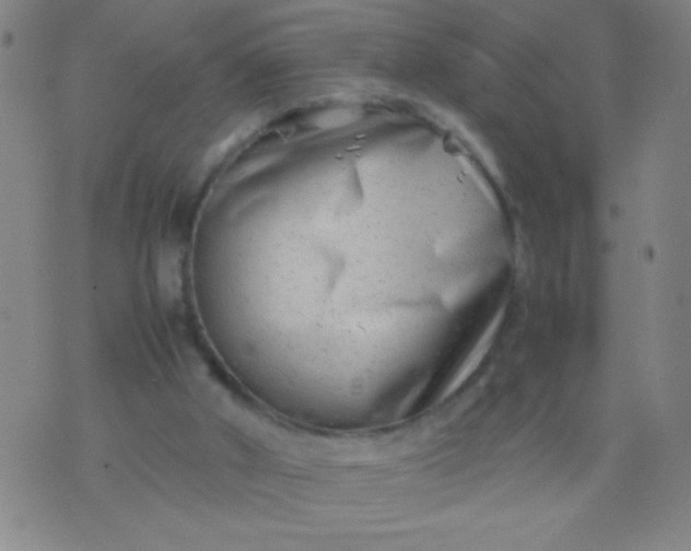 X0000074290010200609081903