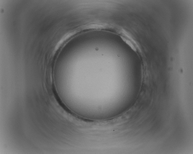 X0000074290011200609081903