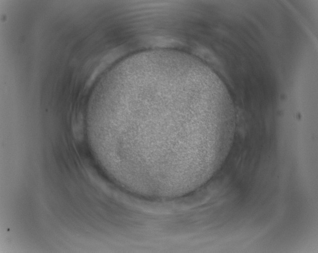 X0000074290012200609081903