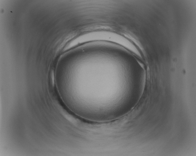 X0000074290013200609081903