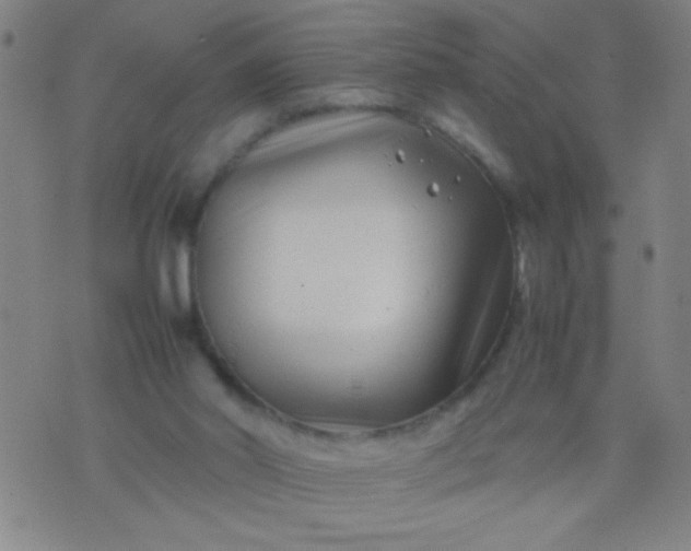 X0000074290014200609081903