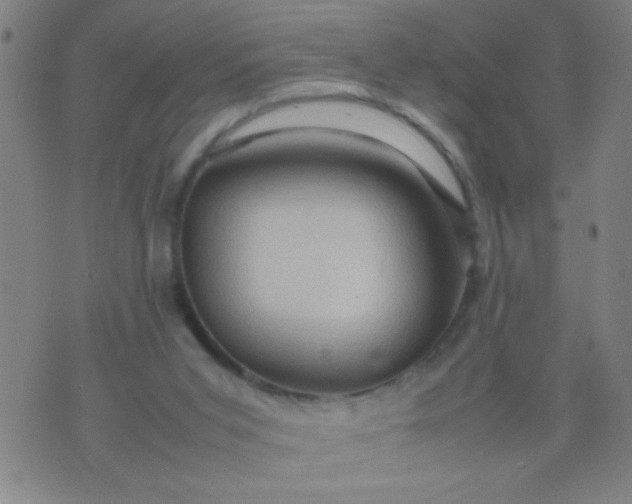 X0000074290015200609081903