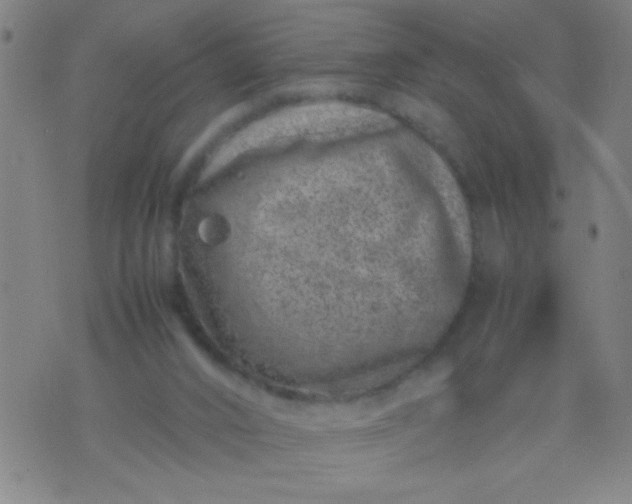 X0000074290016200609081903