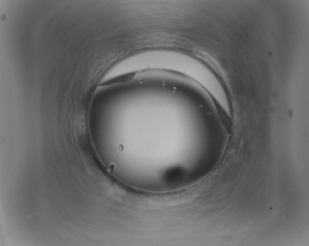 X0000074290017200609081903