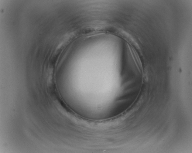 X0000074290018200609081903