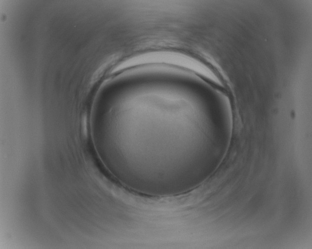 X0000074290019200609081903