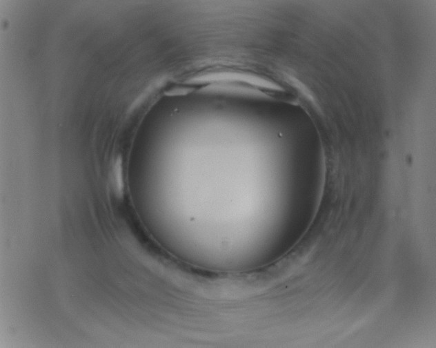 X0000074290020200609081903