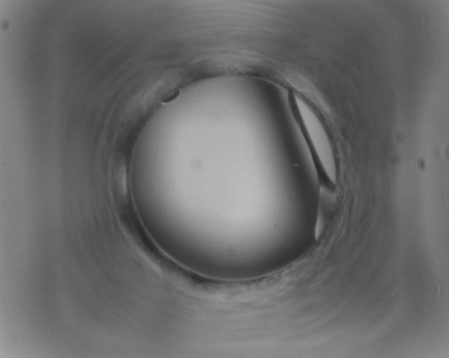 X0000074290021200609081903