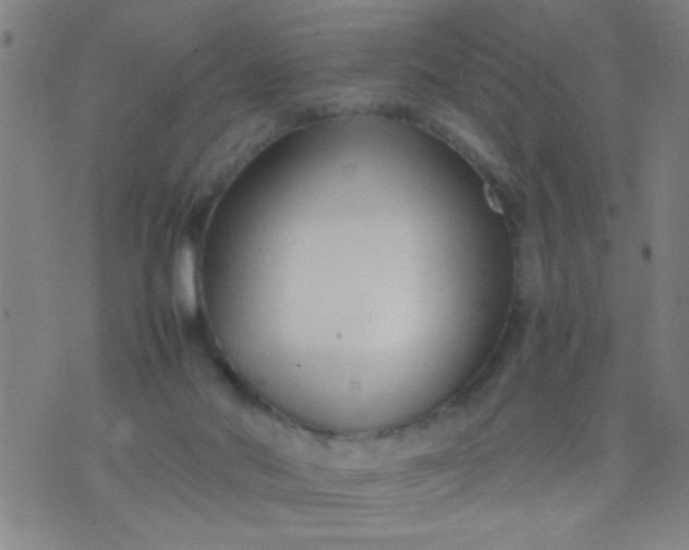 X0000074290022200609081903