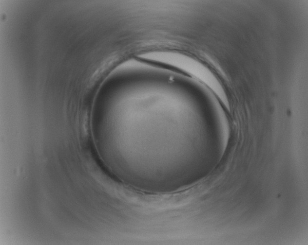 X0000074290023200609081903