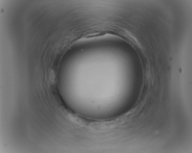 X0000074290025200609081903