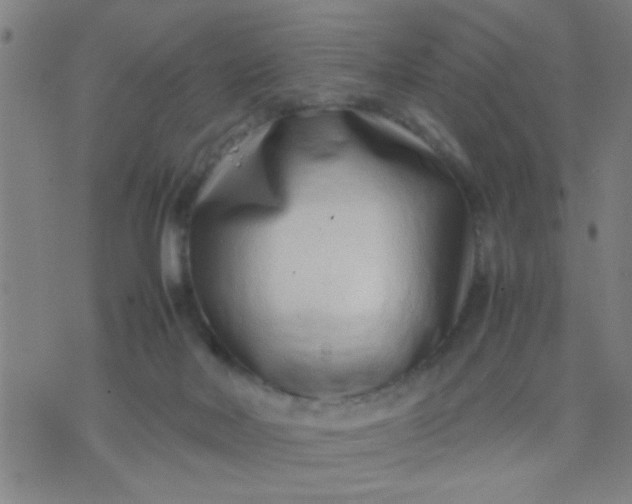 X0000074290026200609081903