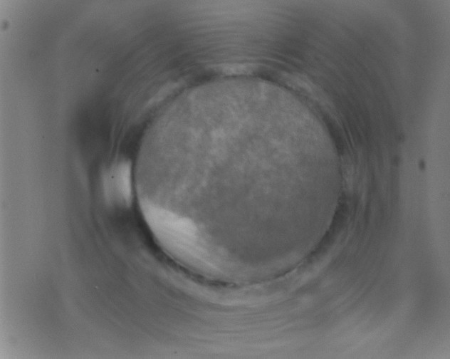 X0000074290028200609081903