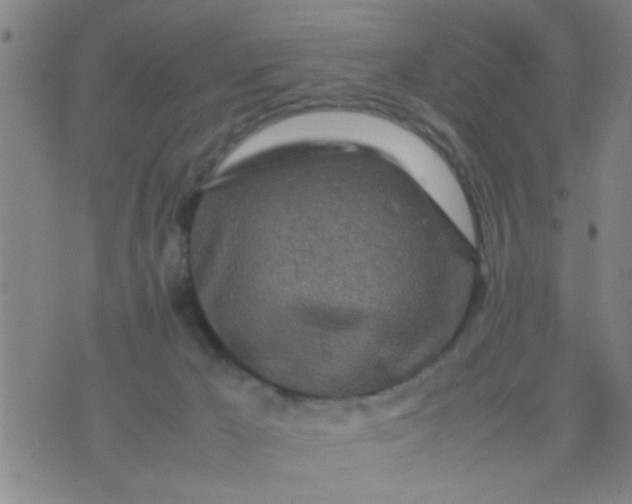 X0000074290029200609081903