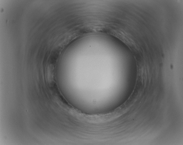 X0000074290030200609081903