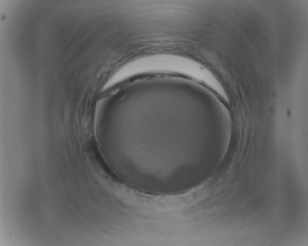 X0000074290031200609081903