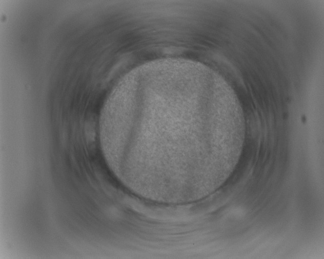 X0000074290032200609081903