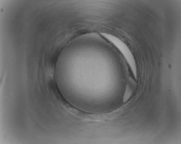 X0000074290033200609081903