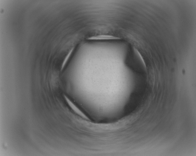 X0000074290034200609081903