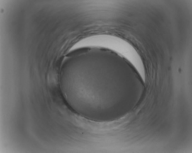 X0000074290035200609081903