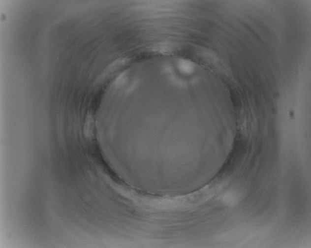 X0000074290036200609081903