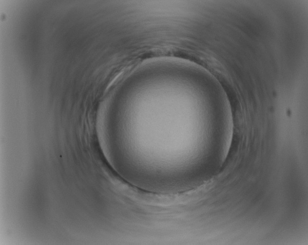 X0000074290037200609081903