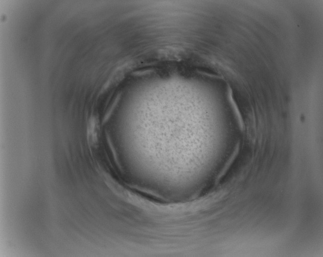 X0000074290038200609081903