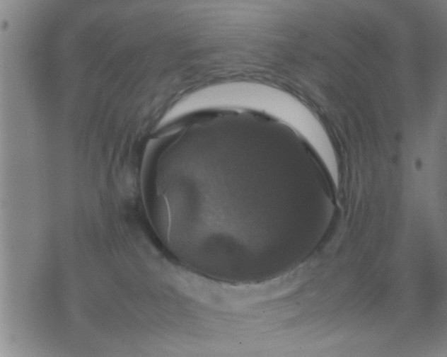 X0000074290039200609081903