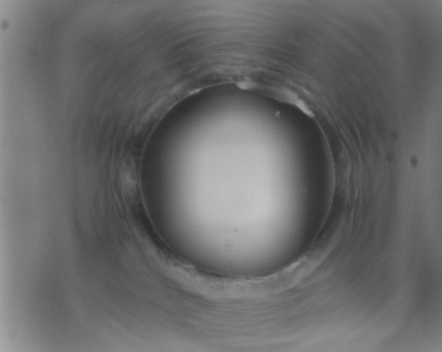 X0000074290040200609081903