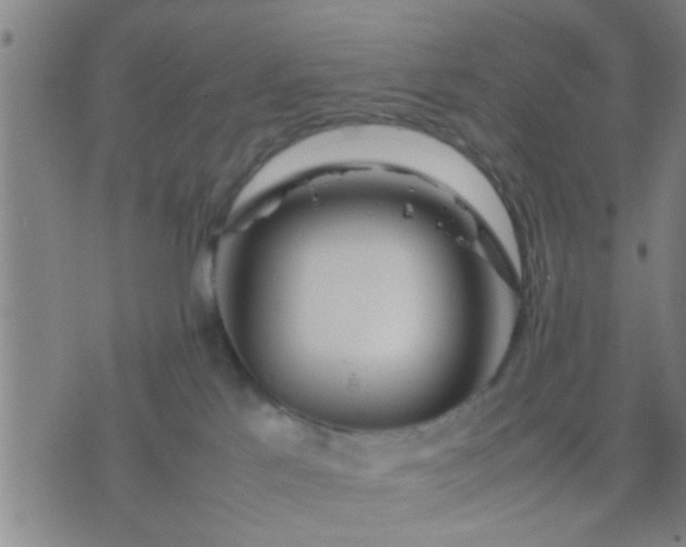 X0000074290041200609081903