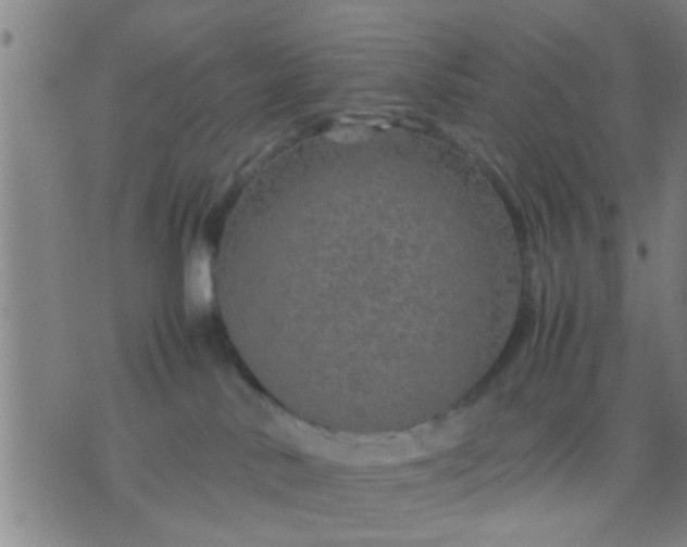 X0000074290042200609081903