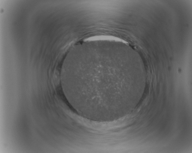 X0000074290043200609081903