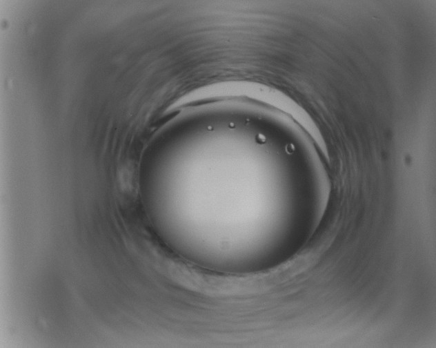 X0000074290044200609081903