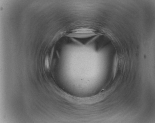 X0000074290046200609081903