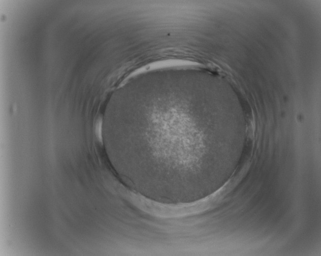 X0000074290047200609081903