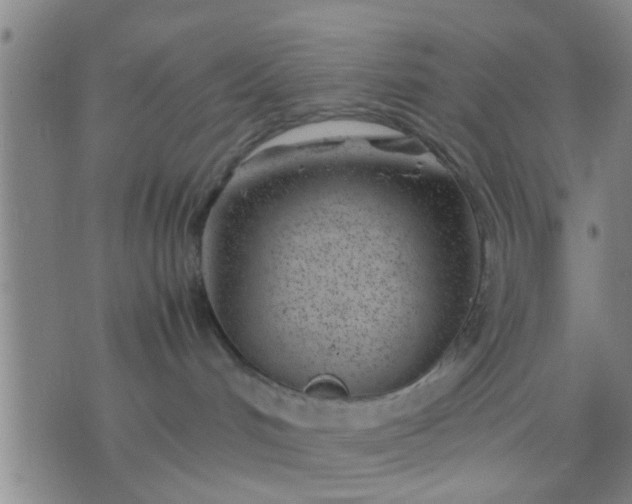 X0000074290048200609081903