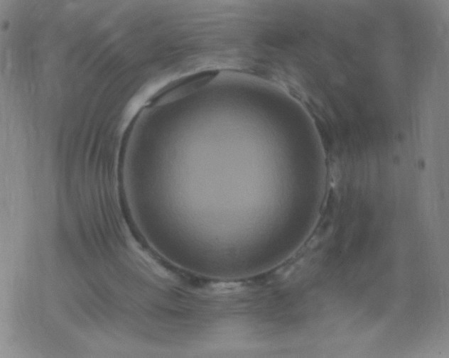 X0000074290052200609081902