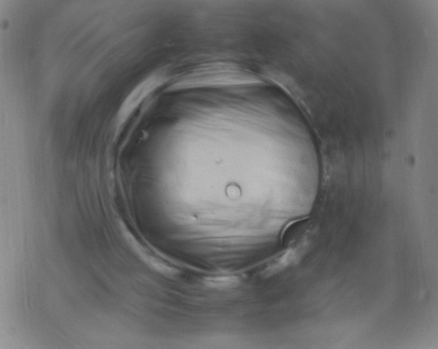 X0000074290053200609081902