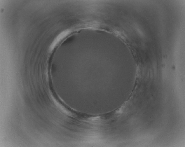 X0000074290054200609081902