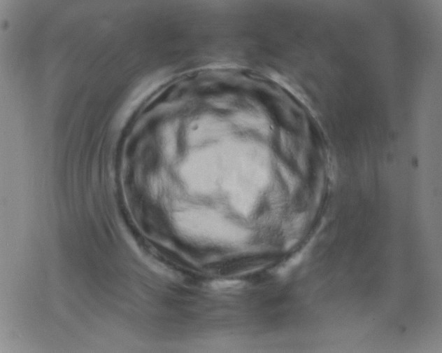 X0000074290055200609081902