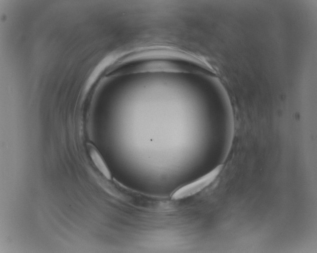 X0000074290056200609081902