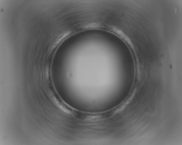 X0000074290057200609081902