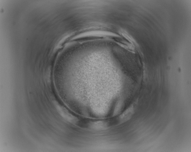 X0000074290058200609081902