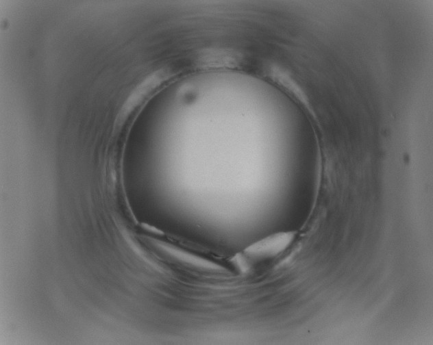 X0000074290059200609081902