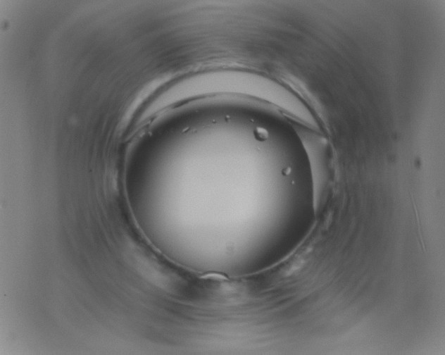 X0000074290060200609081902