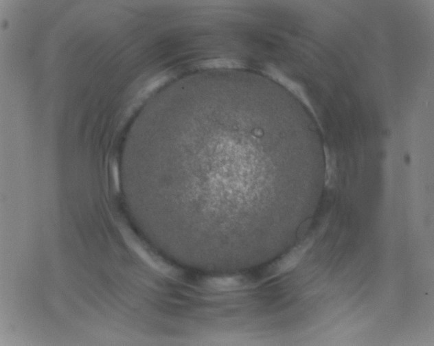 X0000074290061200609081902