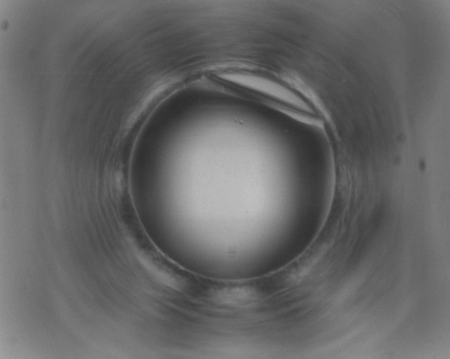 X0000074290063200609081902