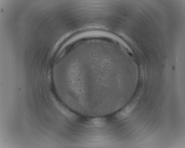 X0000074290064200609081902