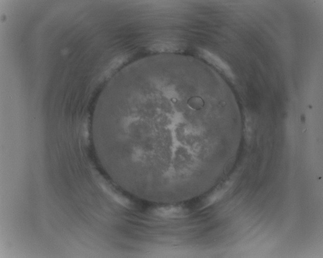 X0000074290065200609081902