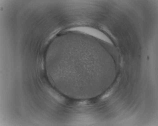 X0000074290068200609081902